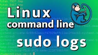 who gained root access on my Linux system - an analysis of sudo logs