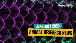 Animal Research News (June - July 2023)