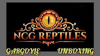 Unboxing.....of Red 0n Red Gargoyle Gecko!