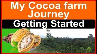 How to Start a Cocoa Farm