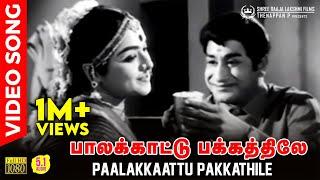 Paalakkaattu Pakkathile HD Video Song | 5.1 Audio | Sivaji Ganesan | Padmini | TMS | P Susheela