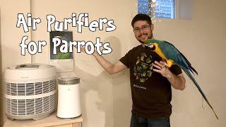 Air Purifiers and Parrots