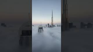 𝗗𝗼𝘄𝗻𝘁𝗼𝘄𝗻 𝗗𝘂𝗯𝗮𝗶  |  وسط مدينة دبي