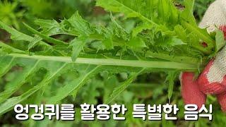 효능 좋은 큰엉겅퀴를 활용한 음식