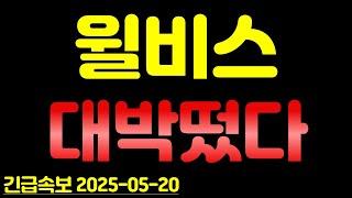 윌비스, 대박떴다!!