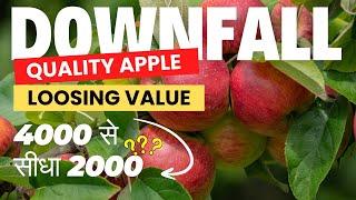 Quality Apples Loosing Value | 4000 से सीधा 2000 Rate???