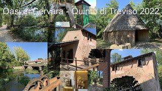 Oasi di Cervara 2022 - Quinto di Treviso 4k #perte #oasi #treviso #4k #2022