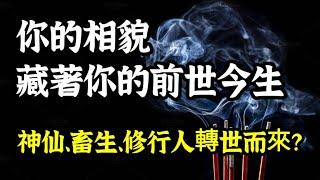 你的相貌藏著你的前世今生！你是神仙、精靈或修行人轉世來的？50歲比丘尼看起來20歲，她是如何做到？相貌和器官之間的關係(含整容失敗照片)