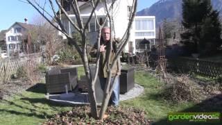 Gardening videos by Lubera and Markus Kobelt