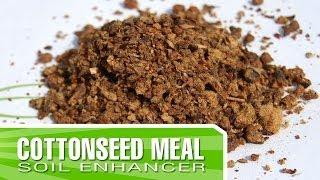 Cottonseed Meal - How to enrich your soil using Organic Amendments