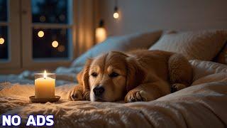 12 Hours of Anxiety Music for Dog RelaxationSleep Music for Deep SleepingCalming Music For Dogs