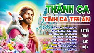 Tuyển Tập Nhạc Thánh Ca Tuyển Chọn Đặc Biệt - TÌNH CA TRI ÂN | Nghe Với Tâm Tình Cảm Tạ Hồng Ân Chúa