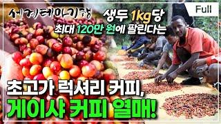 [Full] 세계테마기행 - 나는 전설이다,에티오피아- 세상 모든 커피의 시작, 카파