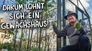 Gewächshaus im eigenen Garten!  - Aufbau und Qualität im Test