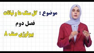 بیولوژی صنف ۸ | فصل دوم | درس ۱۲ | گل سنگ ها و نباتات