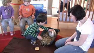 Osterhase - lieber echter Hoppel-Hase ich streichle dich -  MINIS Kinderkrippe KITA Bad Waltersdorf