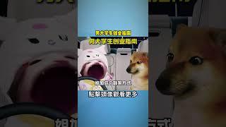 男大学生创业指南 #cheems #cheems小剧场 #cheems小劇場  #剧情搞笑 #搞笑  #funny #熱門 #沙雕 #喜劇