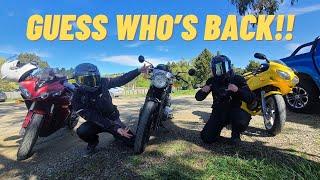 Guess Who's Back!! RE GT650 VS SV650 Cafe Racing!