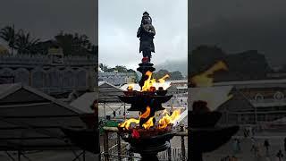 Tirumala new status video #shorts #ytshorts #balaji