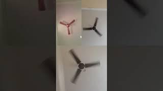 Ceiling #fan #viralvideo #ceilingfan #video #kipasangin #viralshorts #youtubeshorts #ytshorts #sound