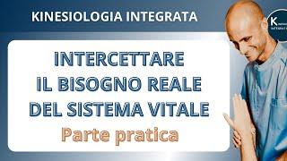 Intercettare il bisogno reale del Sistema Vitale - Kinesiologia Integrata