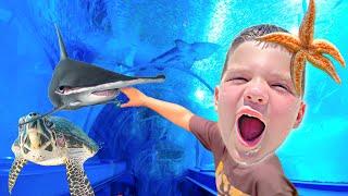 BEST AQUARIUM EVER! UNDERWATER BOX with SHARKS & STINGRAYS!!! Caleb Goes to the BRANSON AQUARIUM!