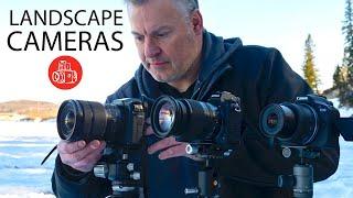 Best Camera for Landscape Photography at 3 Budget Levels