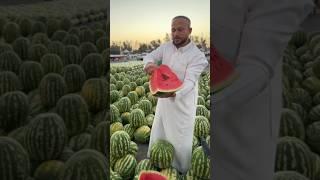 Нарезка 