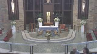 Church of Our Lady of Peace, New providence,  23rd Sunday in Ord Time. 12:10 PM Mass