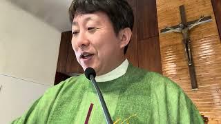 [매일미사 강론] 하느님의 말씀은 우리 안에서 구원의 질서를 세워줍니다. 연중 제11주간 화요일. 25.06.17. 성 정하상 바오로 성당/ 김재덕 베드로 신부