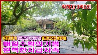 #하점면 #10510 #강화도전원주택 #강화도급매물 #강화도부동산/소유자 거주 목적으로 철근 콘크리트에 내부는 황토 벽돌로 건강까지 챙긴 전원주택#강화도부모님주택 #강화도토지