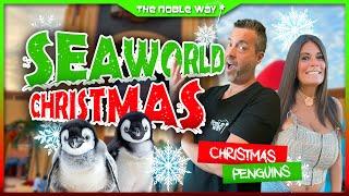 SeaWorld's Christmas Celebration, Sea of Lights, Penguins, Roller Coasters, Amazing Foods, & More!