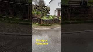 Погода в Германии #германия #погодавгермании #германияпогода #германия2023