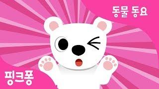 부끄부끄 북극곰 | 북극곰송 | 동물 동요 | 핑크퐁! 인기동요