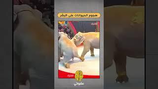 هجوم الحيوانات على البشر الجزء الأول