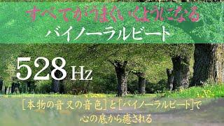 【528Hz×バイノーラルビート】奇跡のソルフェジオ周波数528Hz｜DNAレベルですべてを癒す｜悩みが解消する｜θ波→δ波