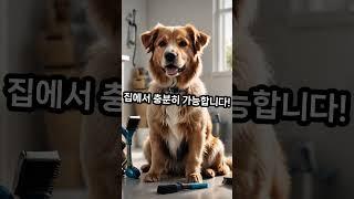 은퇴 후 창업, 이렇게 시작하세요! #시니어창업 #은퇴후직업 #소자본창업 #제2의직업 #노후준비 #시니어비즈니스 #창업아이디어 #은퇴창업 #인생2막 #나도사장님 #시니어라이프