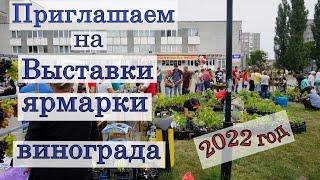 Выставки по Беларуси в сентябре 2022года.