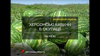 На межі Херсонські кавуни в  окупації -  без можливості збуту та улюбленої баржі до Києва