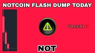 NOTCOIN FLASH DUMP IN AUGUST 2024‼️ URGENT NOT COIN ALERT‼️ NOT CRYPTO HAS TURNED BEARISH⁉️