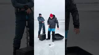 У всех есть такой настырный друг