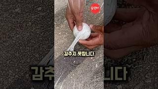 천연 고무로 만드는 스포츠 용품