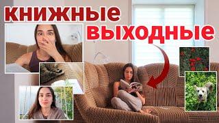 ИДЕАЛЬНО ЧИТАТЬ ЛЕТОМ ️ КНИЖНЫЕ ВЫХОДНЫЕ В ДЕРЕВНЕ