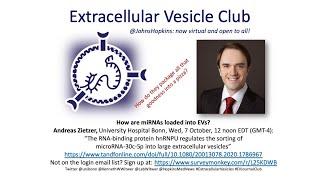 Andreas Zietzer: miRNA sorting into extracellular vesicles by hnRNPU