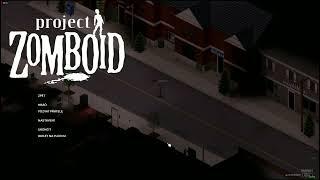 Project Zomboid: huge FPS boost!