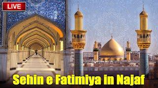 New Sehin e Fatimiya Harram e Imam Ali as Najaf Ashraf Iraq