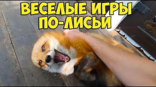 Alice the fox. Joyful spring fox
