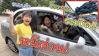 อพยพด่วน!! ขนของหนีโรงงานระเบิดที่กิ่งแก้ว ใกล้บ้านมาก!! | แม่ปูเป้ เฌอแตม Tam Story