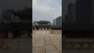 아무도 없을때 나혼자 영상을 찍을수 있는 행운을 가질수 있어 행복합니다 서울 경복궁 근정전
