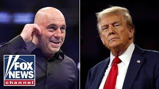 Joe Rogan advises Trump after 2024 victory: 'Let them all talk their s---'